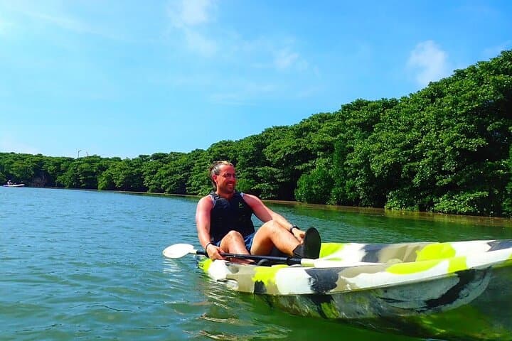 Ishigaki Mangrove SUP & Canoe Tour on Miyara River — Eco Paddle Through a National Monument photo 3