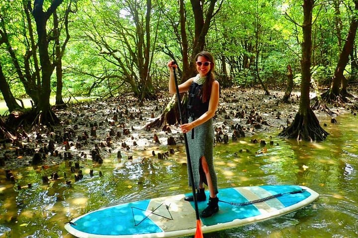 Ishigaki Mangrove SUP & Canoe Tour on Miyara River — Eco Paddle Through a National Monument photo 5