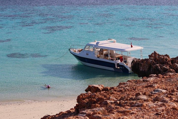 Daymaniyat Islands Boat Tour — Snorkel With Dolphins & Protected Reefs from Muscat photo 2