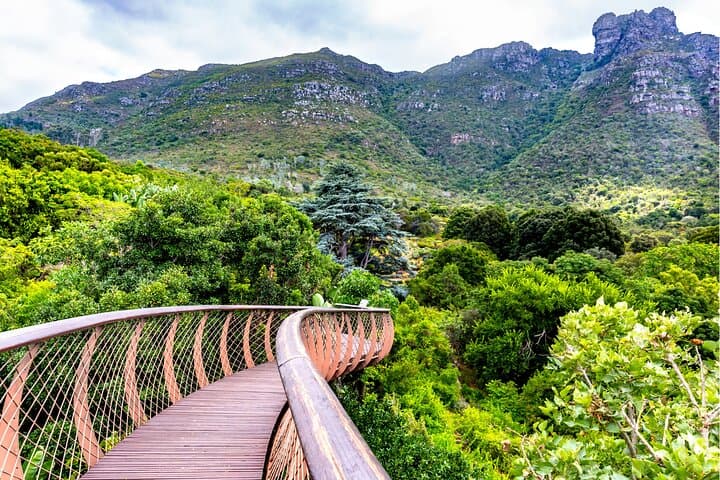 Kirstenbosch and Table Mountain: Cape Town Botanical Garden & Cable Car Tour