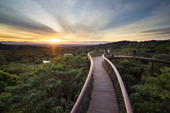 Kirstenbosch and Table Mountain: Cape Town Botanical Garden & Cable Car Tour photo 2
