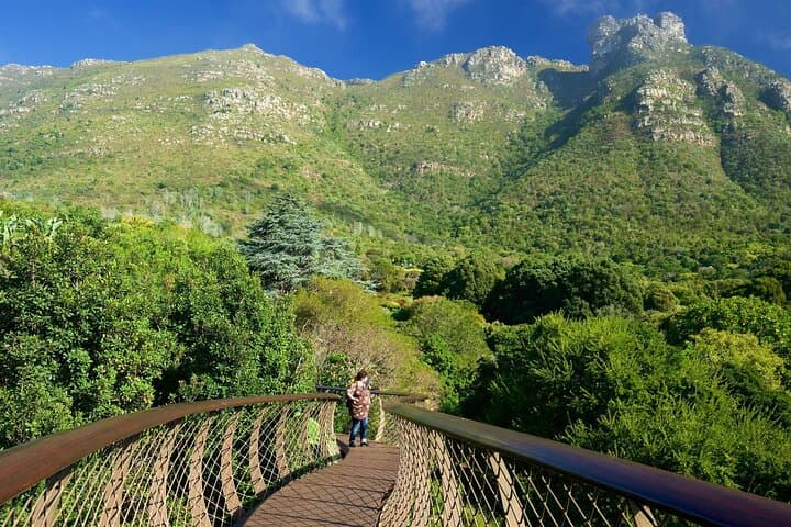 Kirstenbosch and Table Mountain: Cape Town Botanical Garden & Cable Car Tour photo 3