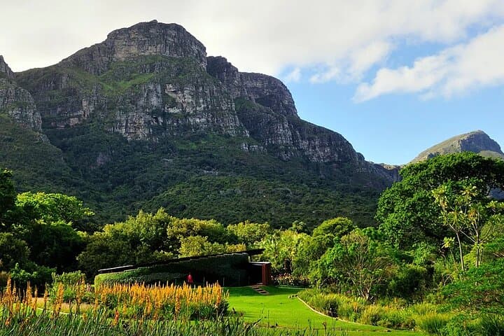 Kirstenbosch and Table Mountain: Cape Town Botanical Garden & Cable Car Tour photo 4