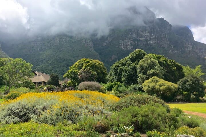 Kirstenbosch and Table Mountain: Cape Town Botanical Garden & Cable Car Tour photo 5