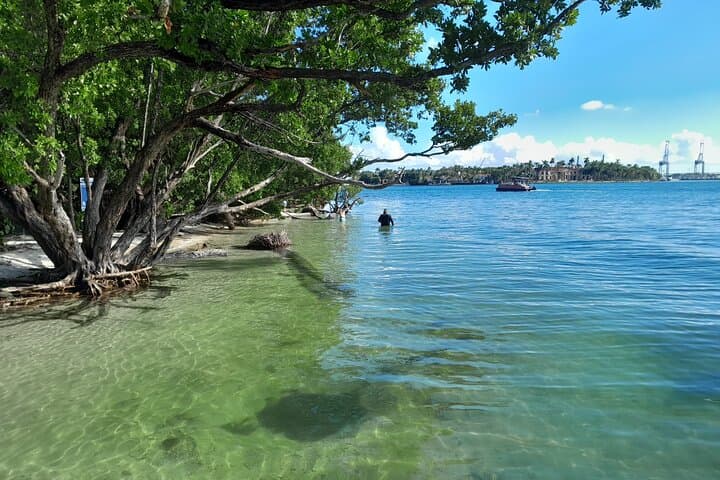 Miami Bayside Snorkeling & Sandbar Party — 2‑Hour Beginner Boat Trip photo 3