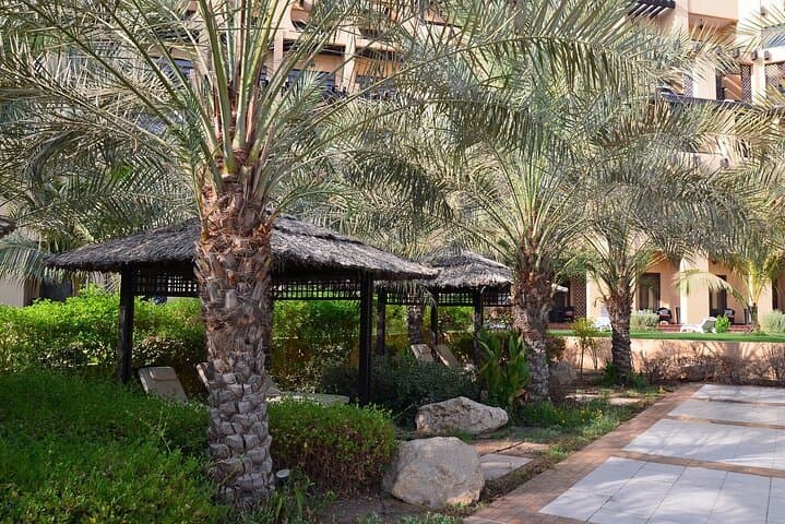 Half-Day Ras Al Khaimah City Tour: Forts, Old Souk & Coastal Drives photo 2