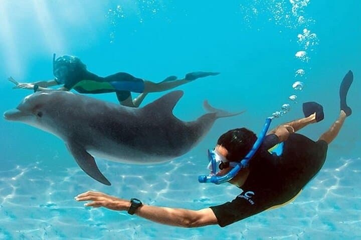 Private Red Sea Snorkeling Trip from Hurghada with Lunch & Hotel Pickup photo 3