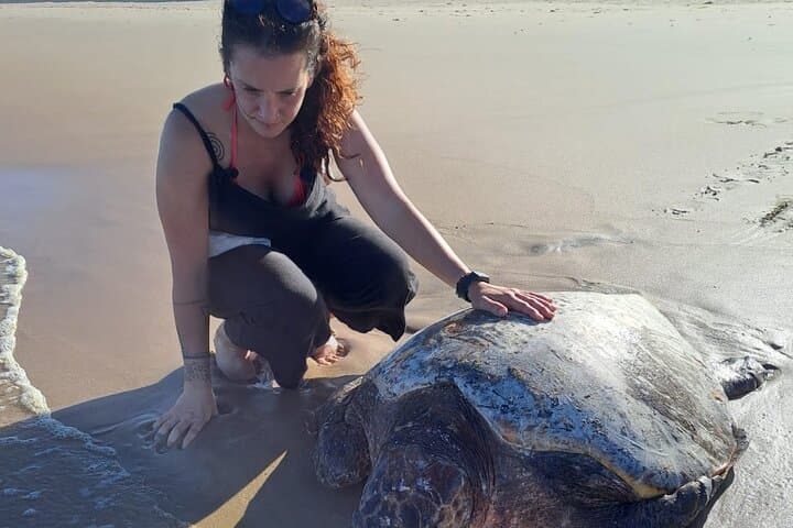 2-Day Maputo National Park Safari: Bush, Beach & Hippo Viewing photo 3