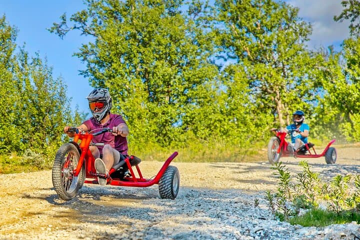 Racing Mountain Cart in Dagali: High-Speed Downhills Near Geilo photo 6
