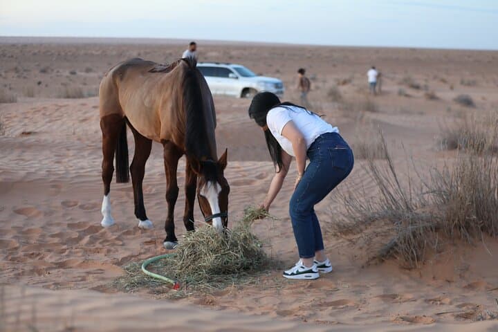 Horseback Riding Through Tozeur Palm Groves: Authentic Half-Day Equestrian Experience photo 2