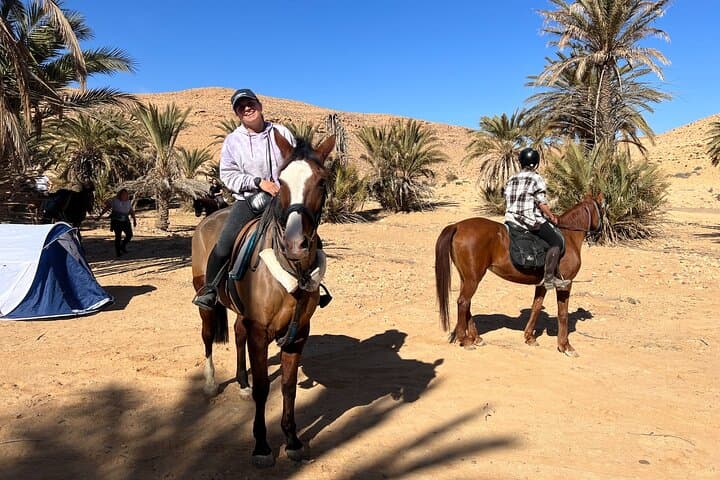 Horseback Riding Through Tozeur Palm Groves: Authentic Half-Day Equestrian Experience
