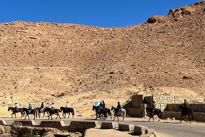 Horseback Riding Through Tozeur Palm Groves: Authentic Half-Day Equestrian Experience photo 5