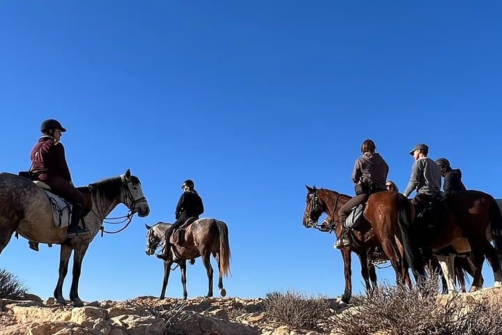Horseback Riding Through Tozeur Palm Groves: Authentic Half-Day Equestrian Experience photo 6