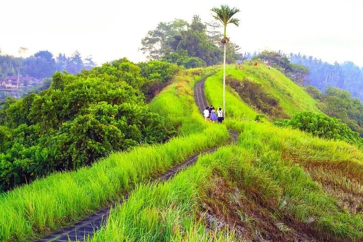 Campuhan Ridge Walk Ubud: Self-Guided Audio Tour & Cultural Highlights photo 2