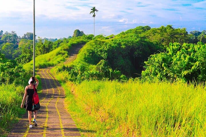 Campuhan Ridge Walk Ubud: Self-Guided Audio Tour & Cultural Highlights photo 3