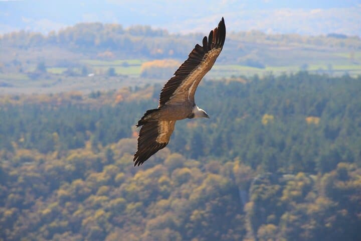 Full-Day Uvac Nature Reserve Tour from Belgrade — Boat Cruise, Ice Cave & Veliki Vrh Hike photo 5