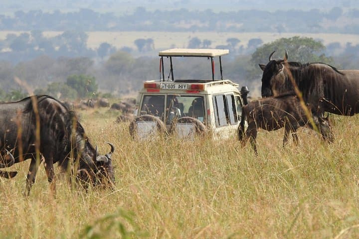 4-Day Tarangire, Serengeti & Ngorongoro Crater Safari photo 2