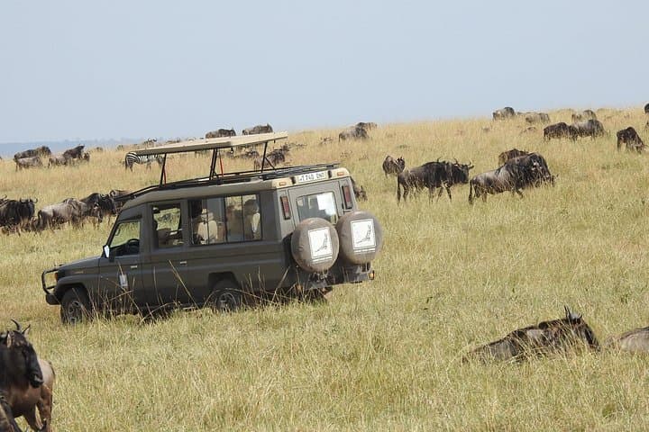 4-Day Tarangire, Serengeti & Ngorongoro Crater Safari photo 3