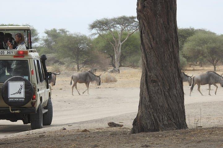 4-Day Tarangire, Serengeti & Ngorongoro Crater Safari photo 4