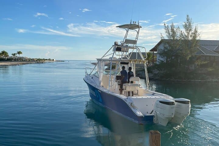 Providenciales Full-Day Bottom Fishing Private Charter — Snapper & Grouper photo 4