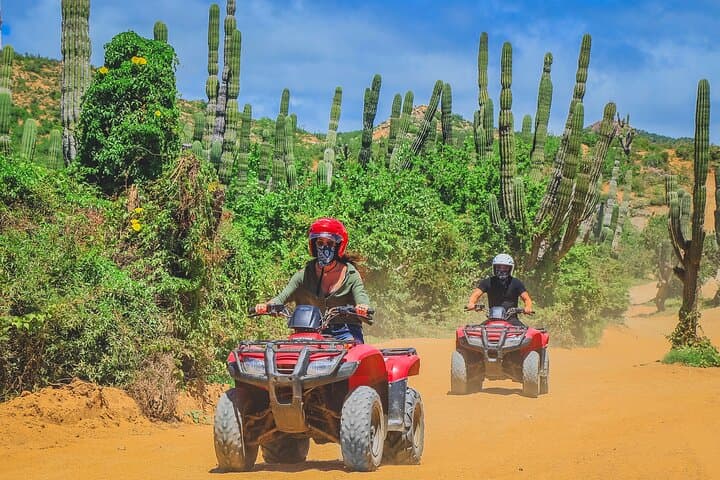 Migriño ATV Tour Los Cabos — Desert Dunes to Ocean-Cliff ATV Ride photo 4