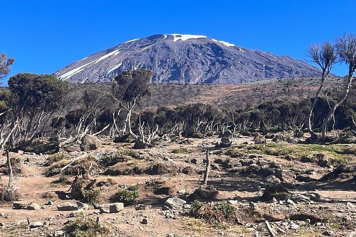 Materuni Waterfall & Kilimanjaro Foothills Day Hike from Moshi photo 5