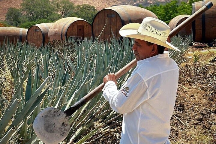 Tequila Horseback Ride & Distillery Tour Through Agave Fields photo 2