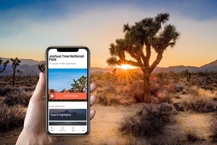 Self-Guided Joshua Tree Audio Driving Tour — Keys View, Cholla Garden & Arch Rock photo 2