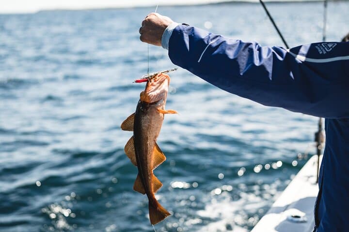 Halifax 2-Hour Deep-Sea Fishing Trip — Cod, Pollock & Mackerel Excursions photo 5