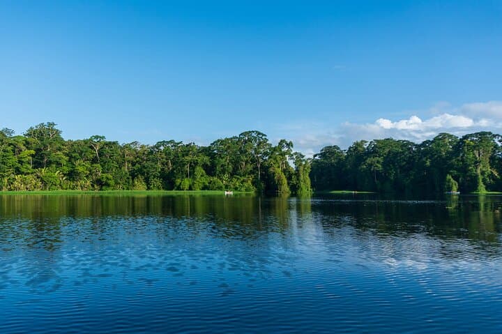 Tortuguero Turtle Nesting, Canoe Canals & Day Trails — A One-Day Wildlife Immersion