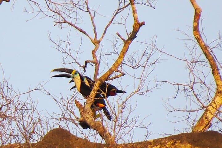 14-Day Best of Ecuador Mainland: Andes, Cloud Forest & Yasuni Amazon photo 4