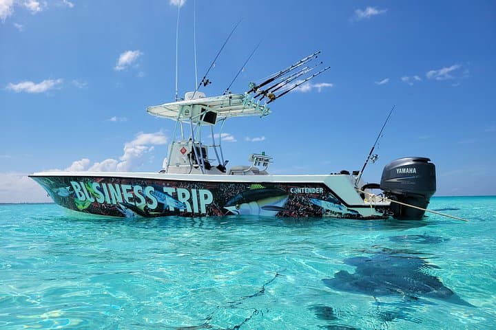 Half-Day Private Boat Charter: Stingray City, Coral Gardens & North Sound photo 1