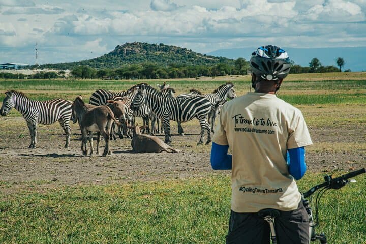 Cycle Kili to Ngorongoro Crater: 6-Day Tanzania Bike Safari