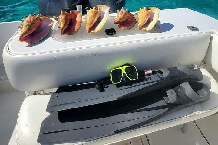 Half-Day Private Boat Charter: Stingray City, Coral Gardens & North Sound photo 4