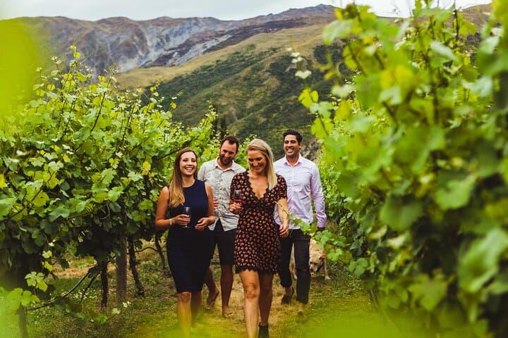 Gibbston Wine Tour: Premium Queenstown Tasting at 4 Wineries photo 5