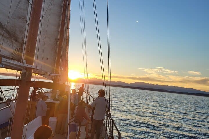 Evening Colors Sunset Sail: Tall Ship Sunset Cruise on Seattle's Elliott Bay photo 6