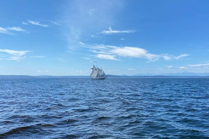 Sailing Elliott Bay: Two-Hour Tall-Ship Harbor Tour from Pier 66 photo 3