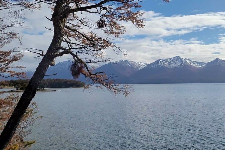 Half-Day Lake Fagnano and Escondido Tour from Ushuaia photo 3