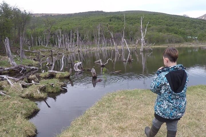 Half-Day Lake Fagnano and Escondido Tour from Ushuaia photo 4