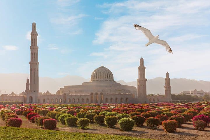 Grand Mosque, Nakhal Fort & Al Thowarah Hot Spring: Private Half-Day Tour from Muscat photo 1