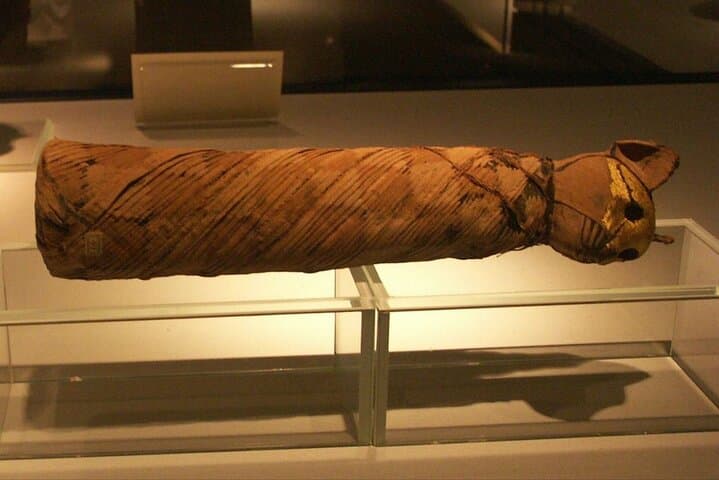 Walk the Pharaohs' Path: Private Tour of Luxor Temple, Karnak & the Mummification Museum photo 2