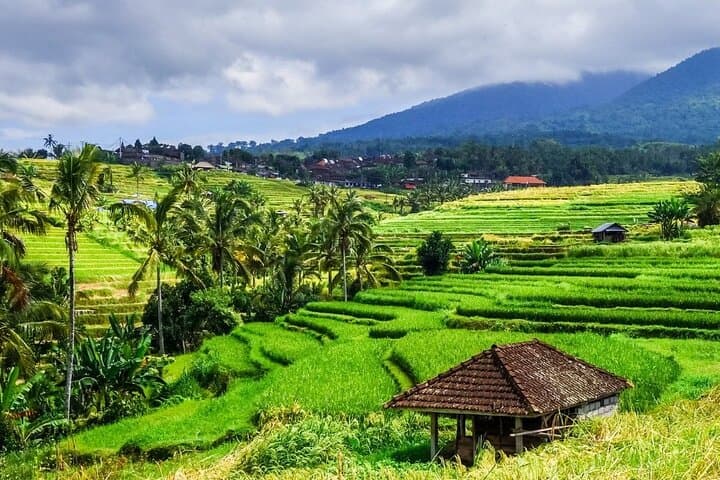 Jatiluwih Rice Terraces: Self-Guided Audio Walking Tour (UNESCO)