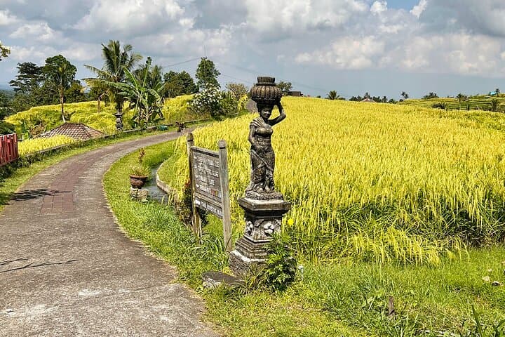 Jatiluwih Rice Terraces: Self-Guided Audio Walking Tour (UNESCO) photo 2