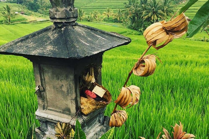 Jatiluwih Rice Terraces: Self-Guided Audio Walking Tour (UNESCO) photo 5