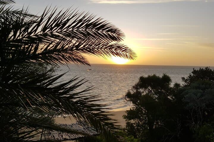 10-Day Private Madagascar Tour: Sainte-Marie, Pangalanes & Andasibe Wildlife photo 6