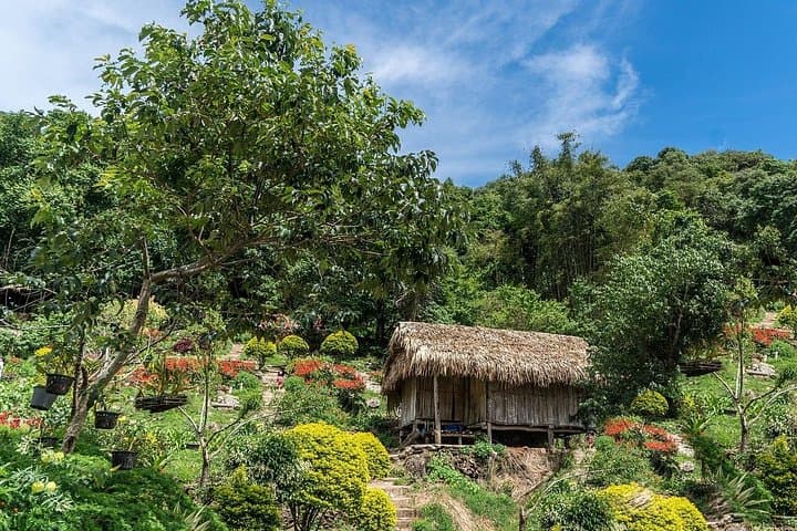 Doi Inthanon National Park Day Trip from Chiang Mai: Waterfalls, Stupas & Hill-Tribe Markets