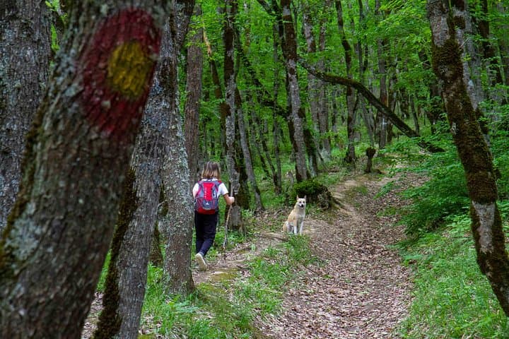 Hike to Chirag Gala: Ancient Fortress & Forest Trails from Baku photo 2