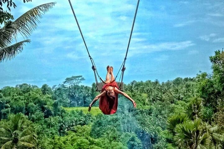 Ubud Jungle Swing, Monkey Forest & Tegenungan Waterfall Private Tour