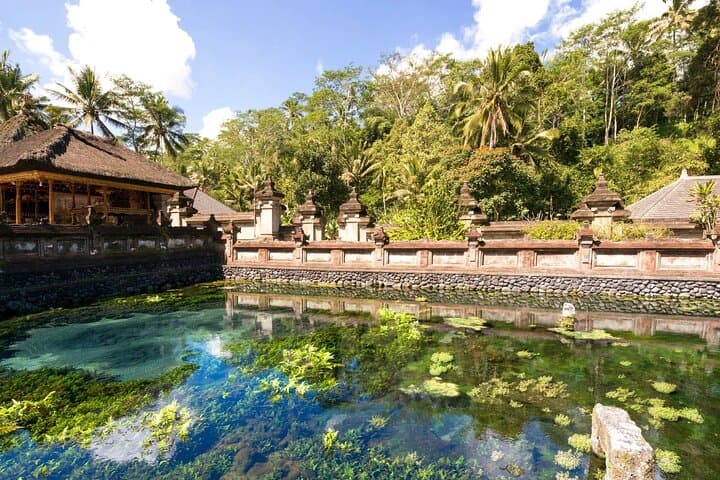 Ubud Jungle Swing, Monkey Forest & Tegenungan Waterfall Private Tour photo 3