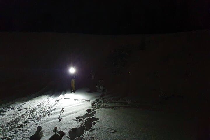 Night Skiing on Lake Norvajärvi: Arctic Nocturnal Ski Tour Near Rovaniemi photo 5